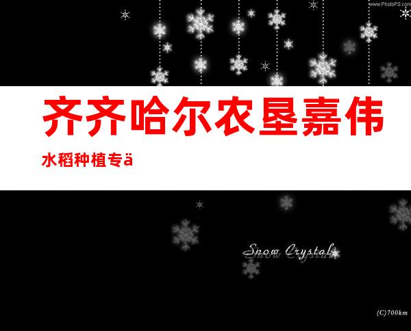 齐齐哈尔农垦嘉伟水稻种植专业合作社